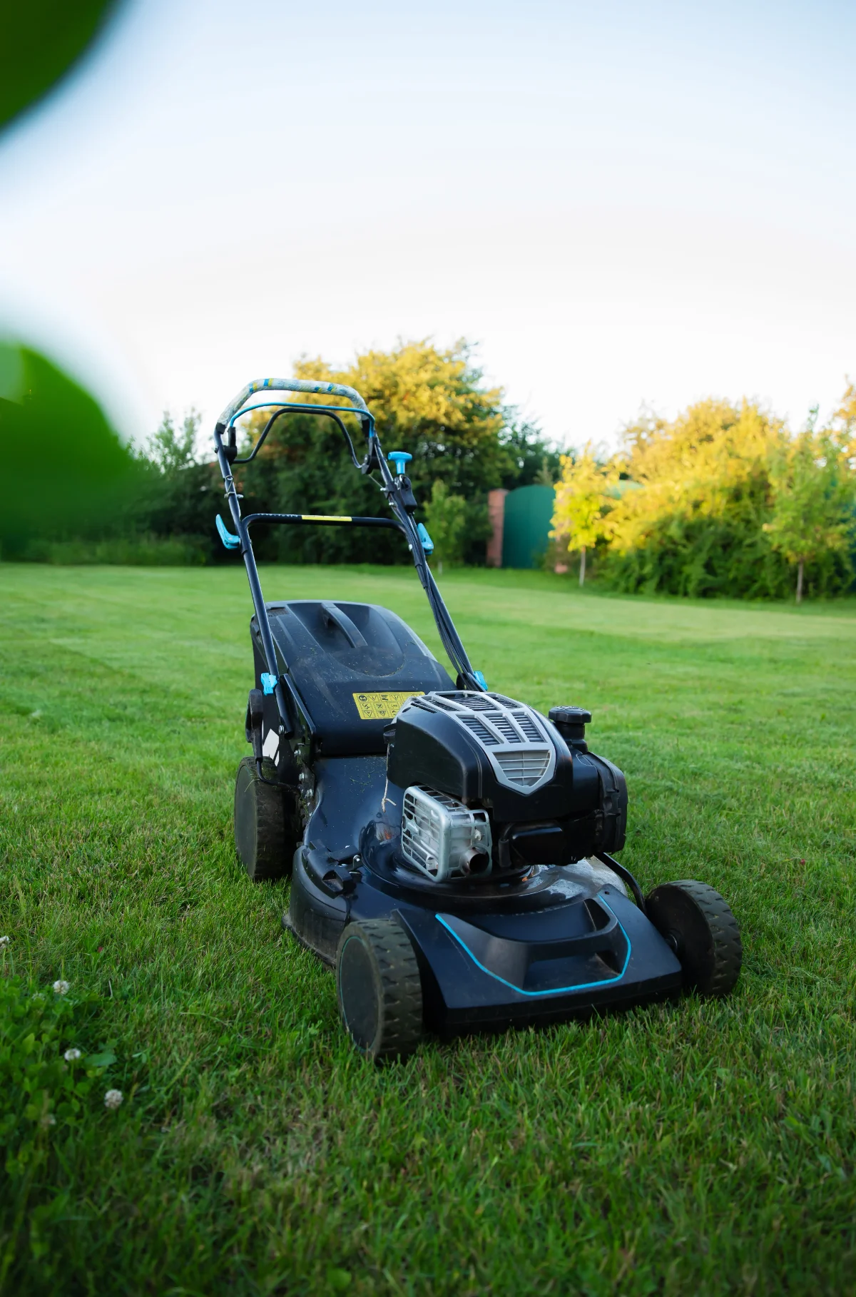 Hecken schneiden und Gartenpflege in Hamburg für gepflegte Gewerbeflächen und Büroanlagen