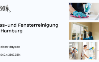 glasreinigung