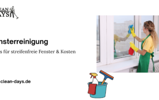 Fensterreinigung