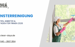 fensterreinigung